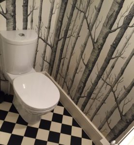 Jesmond understairs toilet